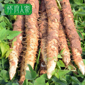 包邮 正宗垆土地铁棍山药温县怀淮山药多省 怀府人家河南焦作新鲜