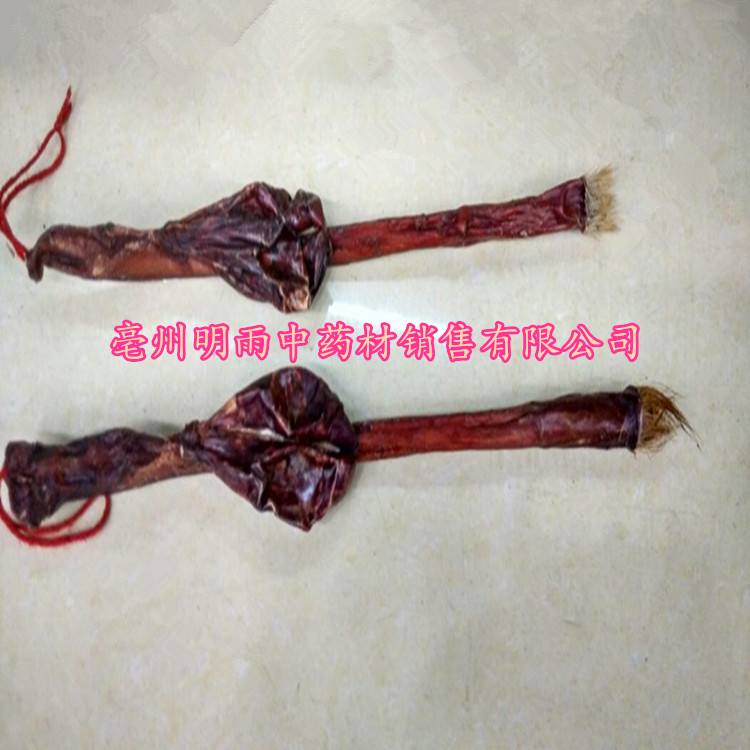 买三送一促销正品牛鞭1条 干品带蛋 大条黄牛鞭泡酒特产公司经营