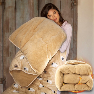 加厚保暖羊羔绒被