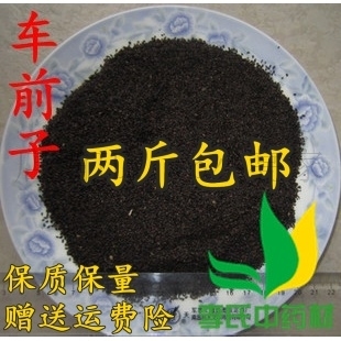 李氏中药材 车前子 车前草的种子哦！500克正品保证/满两斤包邮