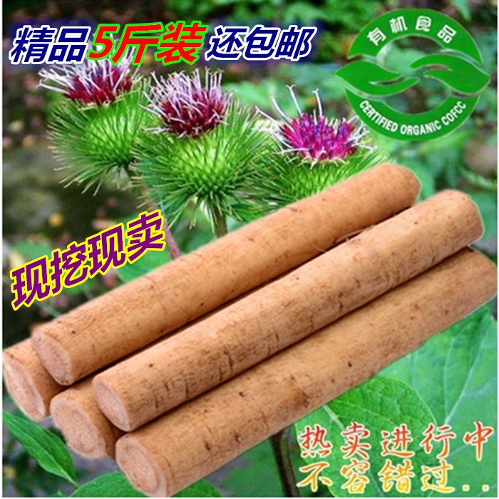 【天天特价】新鲜牛蒡根 徐州牛蒡根 净重5斤包邮 保证质量