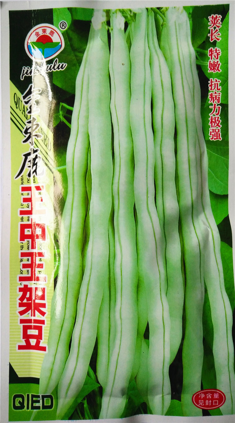 四季豆角种子王中王架豆 九粒白 肉豆无筋 蔬菜种子 爬藤高出芽率