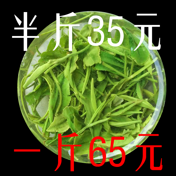 信阳毛尖 绿茶 春茶云雾茶 日照充足绿茶250g包邮 PK都匀五峰庐山