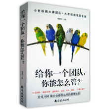 企业经营管理战略智慧分析书籍 管理者领导力能力MBA管理培训 如何带团队 团队员工管理 打造高绩效团队 给你一个团队你能怎么管