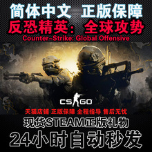 csgo反恐精英全球攻势完美国服九蛇行动自动 steam正版中文