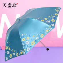 307E雪月风花 黑涤彩胶 晴雨伞 铅笔钢伞 天堂伞 专卖 正品 2017款