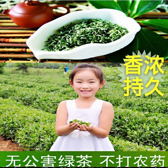 洞庭碧螺春绿茶2016明前特级散装袋装新茶叶礼盒牛蛙东山毛尖250g