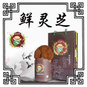 正品[富硒破壁灵芝孢子粉]富硒破壁孢子粉评测