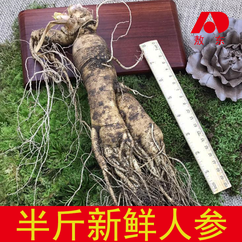 长白山新鲜人参带土鲜人参 250g 东北吉林人参白参煲汤泡酒滋补