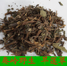 店里有女贞子 500克 干货旱莲草粉 包邮 中药材 墨旱莲草野生