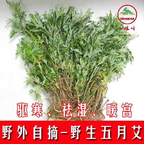 艾根 野生五月艾茎艾叶广东煲汤料