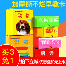 3岁宝宝看图认知数字启蒙玩具 婴幼儿童撕不烂早教无图识字卡片0