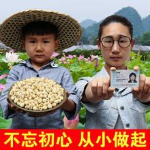 磨皮无心湘白莲子特级干货特产500g 莲子干货 包邮 去芯 淡水河谷