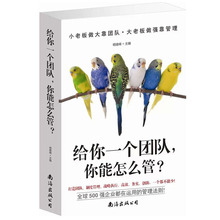 管理法则 怎么带团队 打造高效团队带人带领队全球500强企业都在运用 正版现货 团队管理学书籍 给你一个团队你能怎么管