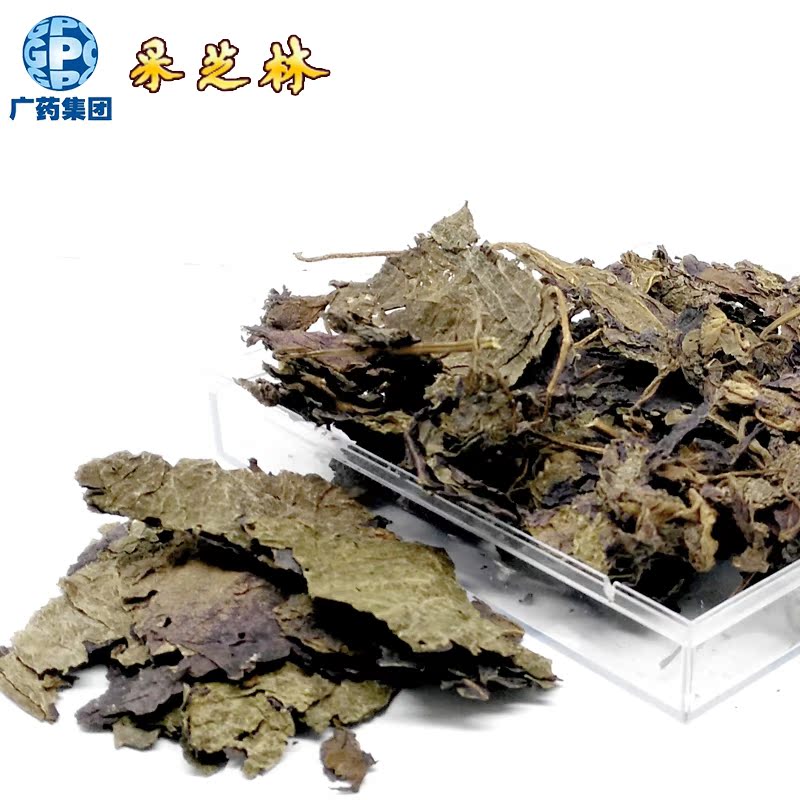 广药采芝林 紫苏叶 干紫苏叶 干苏叶 干苏麻叶 广东产 100g