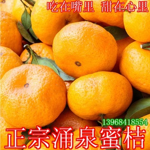 浙江特产正宗临海涌泉蜜桔新鲜水果柑桔子 早熟宫川无核黄岩蜜橘