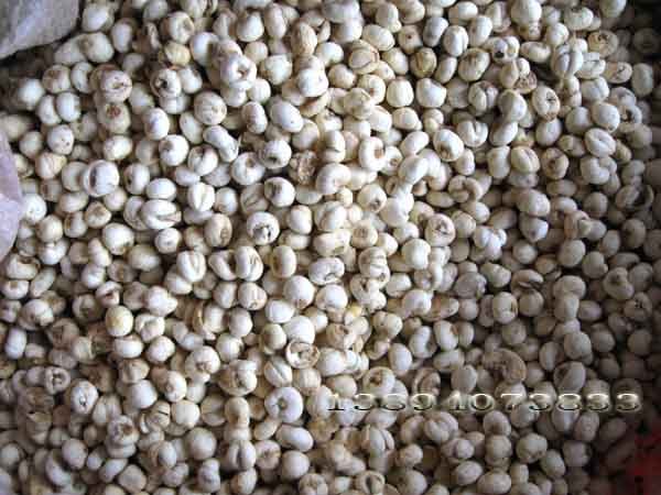 平贝小粒1斤 65元年新货 优质长白山区川贝母