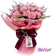 25支粉康乃馨/厦门生日鲜花速递/厦门母亲节妇女节女人节鲜花