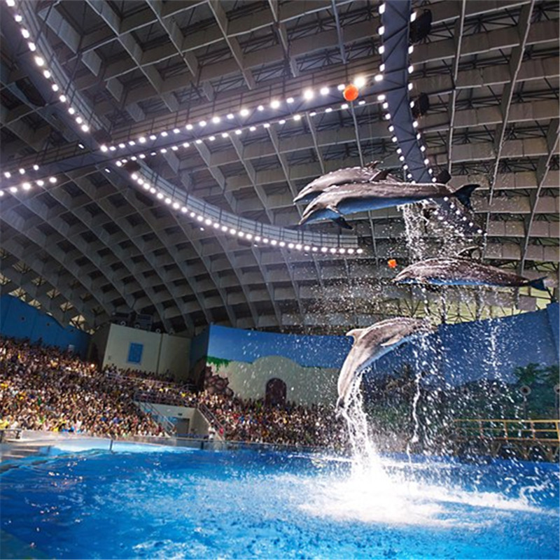 正品[海洋馆门票]合肥海洋馆门票团购评测 海洋馆门票团购图片_惠惠购物