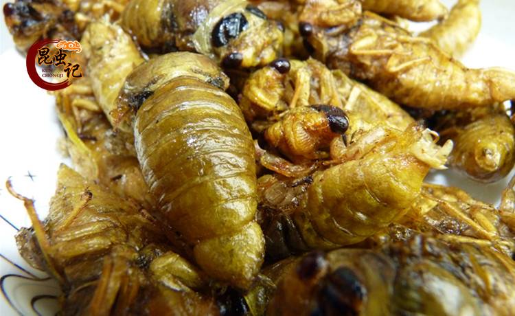 炸制野生白蝉 金蝉蜕变嫩白蝉 嫩白蝉 香酥白蝉30只_爱酷商城(ikoo8.c