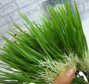 简约时尚仿真花假花塑料花pu仿真小草韭菜批发