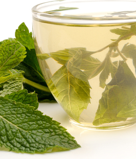 中药材批发 薄荷梗切片 薄荷 质量保障 500克