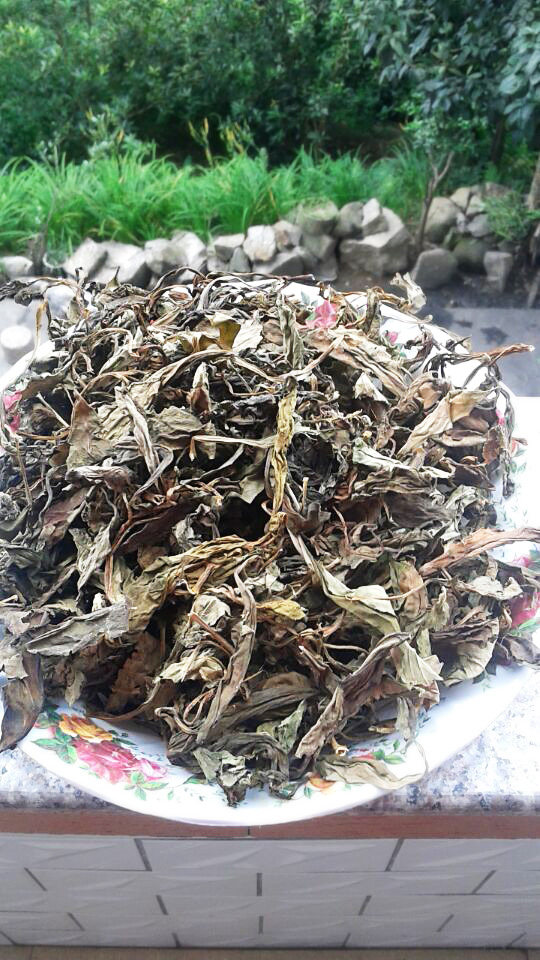 2016年永春特产 农家野生苦菜干苦斋婆天然野菜干败酱草煲汤250g