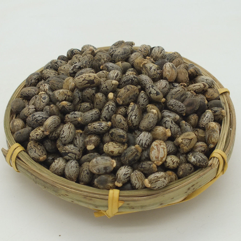蓖麻子 蓖麻籽 蓖麻仁中药材500克包邮