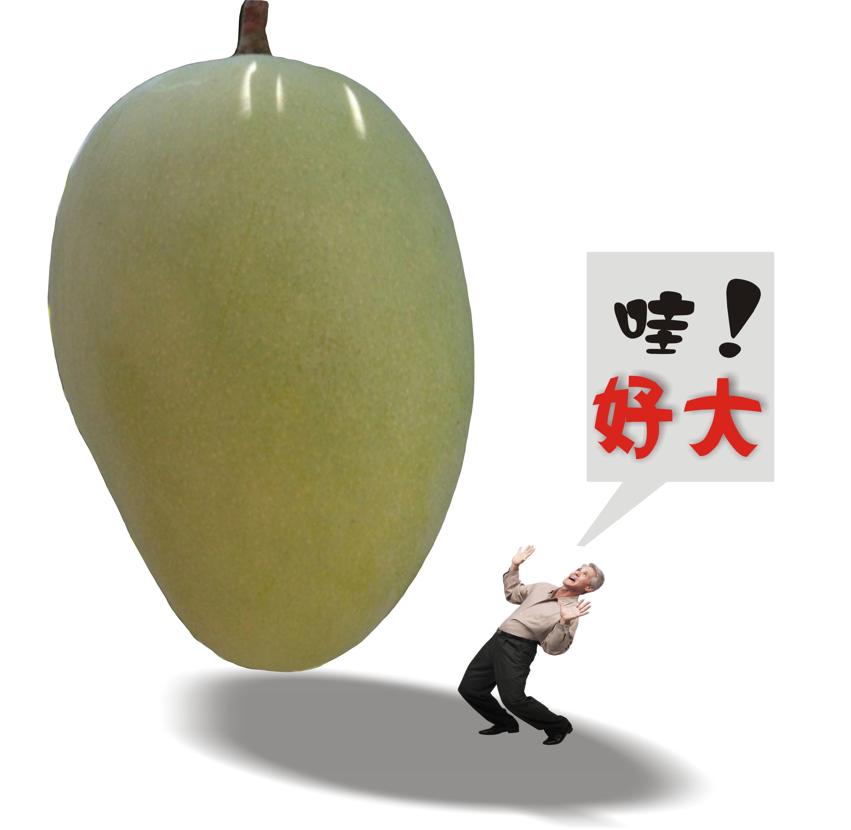 ֦شâ8 ˮʤââС5 10 