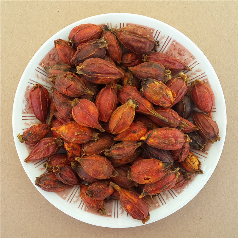 仲景栀子100g 瓶装 黄栀子凉茶山栀子花茶中药材