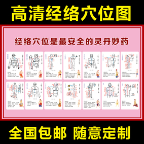 十二正經經絡經脈 12經絡經脈 海報掛圖示意圖解參照對照分佈圖片