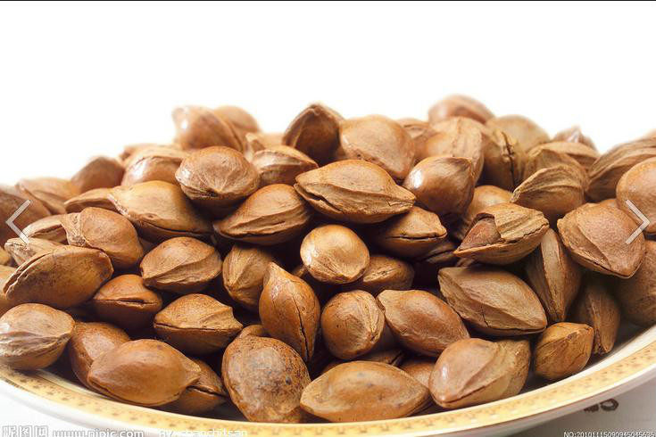 开口无糖1周仁 新货 手剥熟坚果炒货硬壳小杏核 500g 满3斤包邮