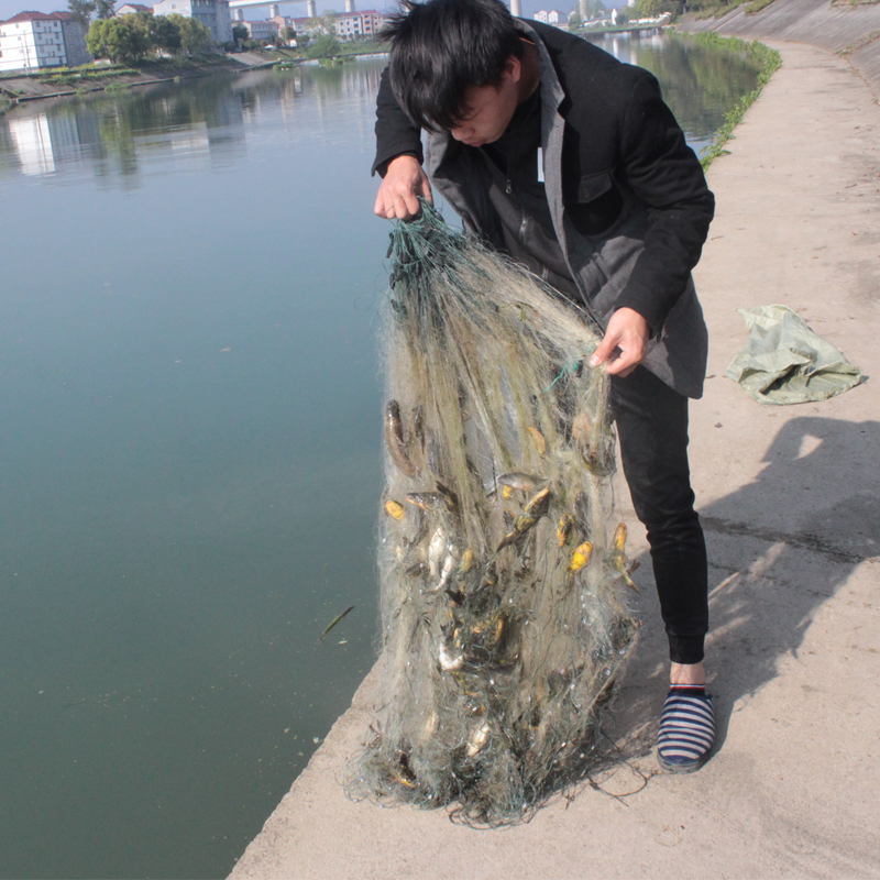 鲫鱼网三层粘鱼网,鲫鱼网三层粘鱼网图片,价格,介绍和评价_快乐湖南