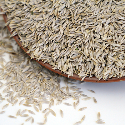 生菜子籽500g 生菜籽粉生现磨续筋扭伤拉伤骨折搭配黄瓜籽粉补钙