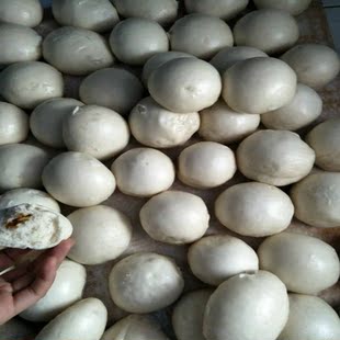 阜阳大馍馒头纯手工小麦粉面馒头无添加原味馍馍饽饽20个订货现做