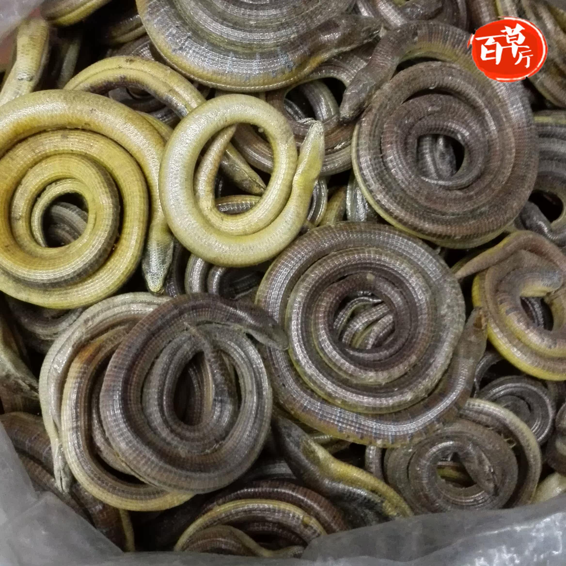 脆蛇 碎蛇 银蛇 中药材野生脆蛇 纯清水脆蛇 50g包邮