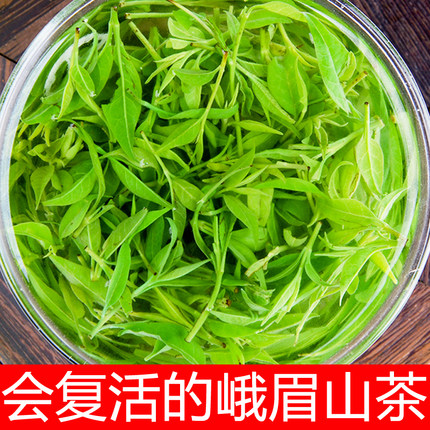 買一送一 海南大葉苦丁茶冬青野生特級正品包郵新茶葉去火茶250g_7折