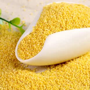 山西特产原产地垣曲黄小米月子米宝宝米2017新小米5斤包邮