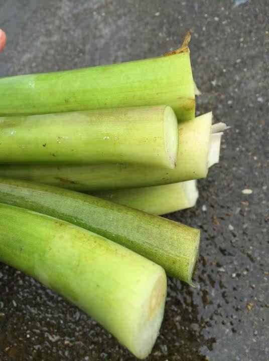 浙江龙泉特产农家自晒干货干芋艿杆梗芋荷梗原味脱水蔬菜绿色食品