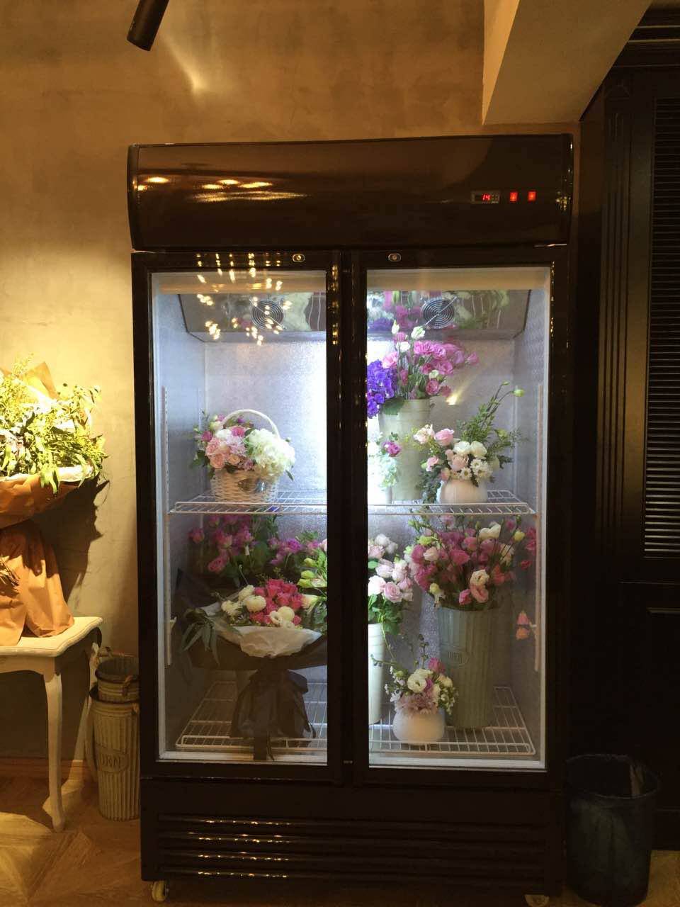 雪锐龙冷柜鲜花柜冷藏柜保鲜柜展示柜立式饮料柜水果冷柜 厂家