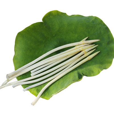 2017洪泽湖特产新鲜藕带新藕亭菜 藕尖美味藕稍子新鲜蔬菜现货2