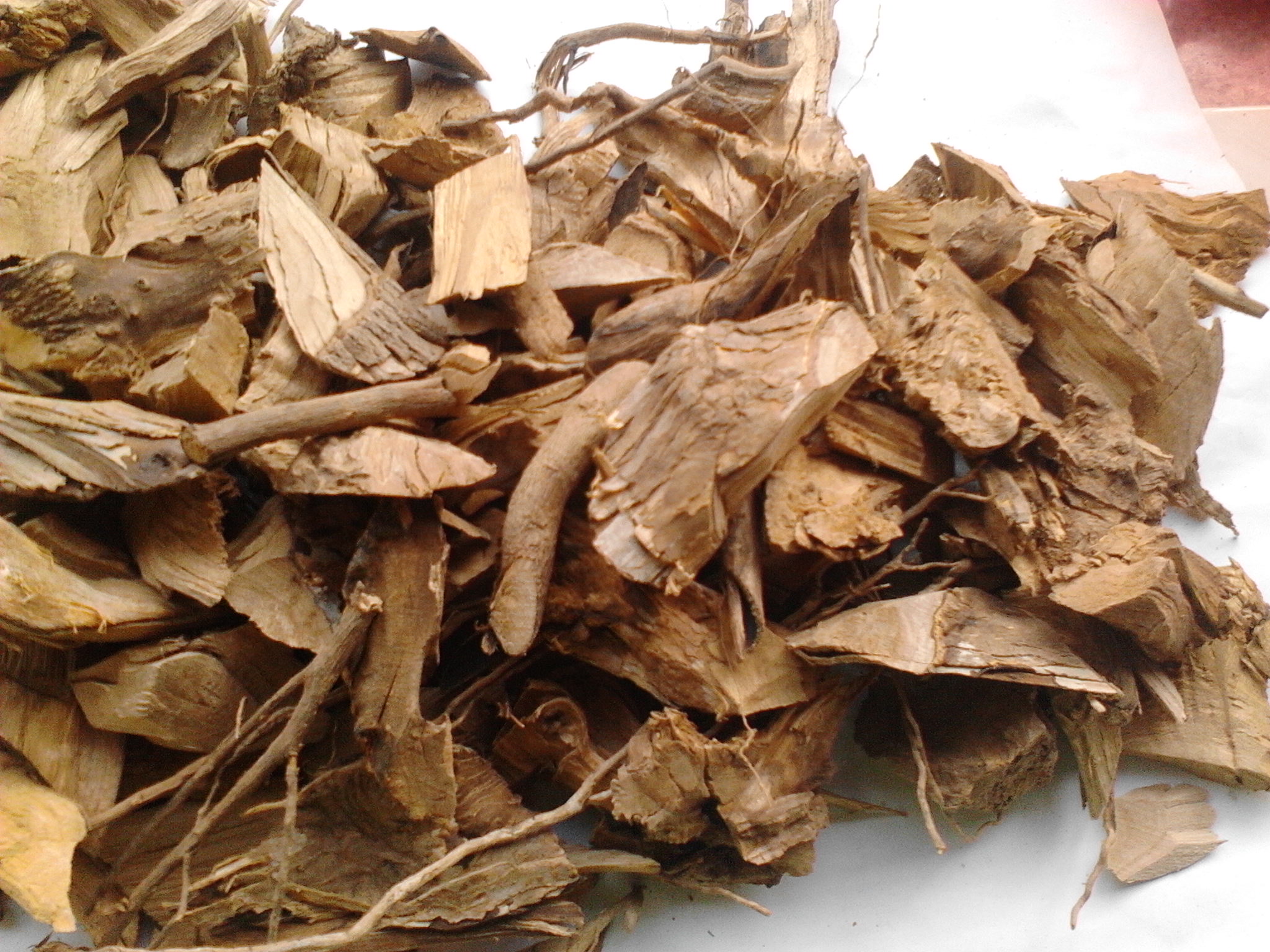 野生无硫布惊根 牡荆根 黄荆根 不惊根 500g三斤包邮