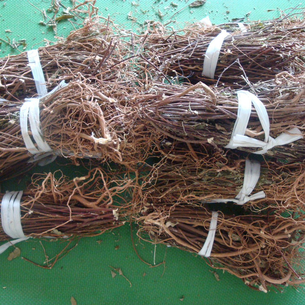 广东煲汤料野生白花地棉根白花地绵茎中草药