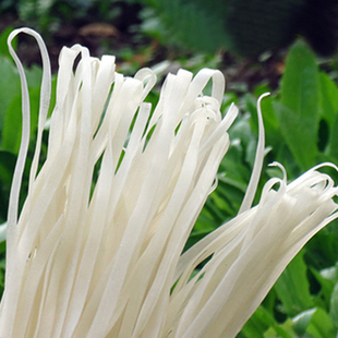 麻辣烫 特产宽粉500g红薯粉手工自制宽粉条白宽粉条火锅粉 麻辣烫粉丝