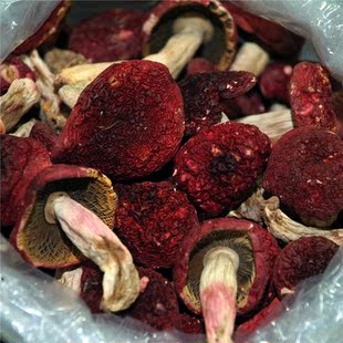 浦北正宗红菇红椎林野生红椎菌产妇养生月子补血红菇500g