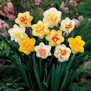 【特价】_步街网