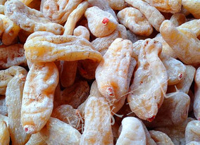 特价包邮正宗云南丽江红嘴天麻天麻粉天麻片500g头痛夜不眠者良方