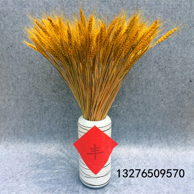 麦穗干花 小麦子花束 开业大麦田园装饰礼品拍摄道具天然植物装饰