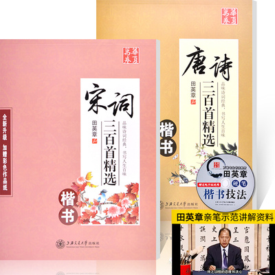 全楷书组合 钢笔硬笔成人练字书法 正楷入门临摹钢笔字帖 硬笔书法