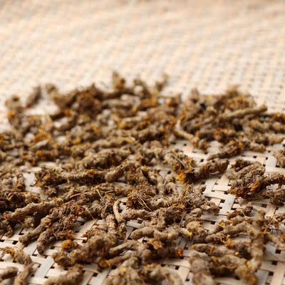 野生黄连 中药材黄莲 鸡爪莲 川黄连 味苦 青川土特产100g包邮